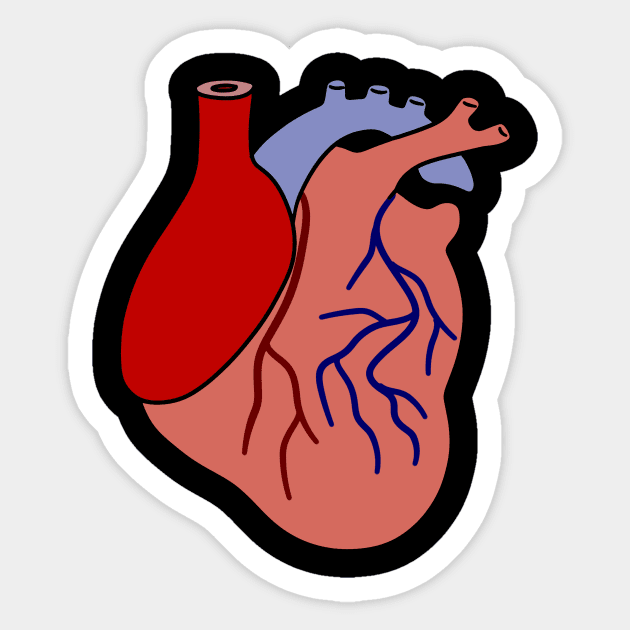 Human Heart Sticker by saradaboru